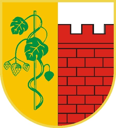 Konsultacje społeczne - Gmina Witnica